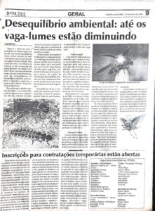 jornal Bom dia Leda Malysz (4) vagalumes leve